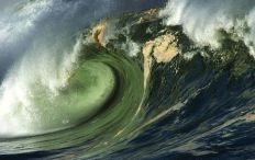 1163 Wave